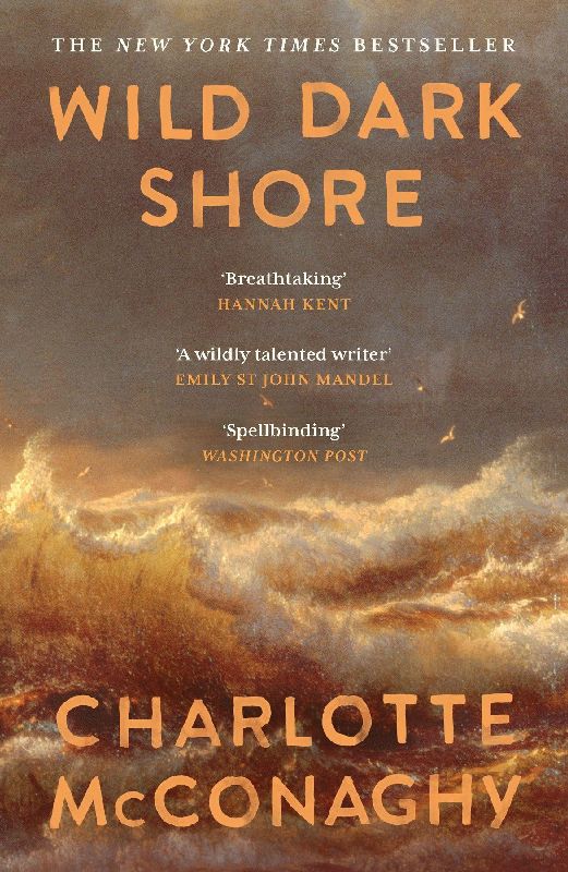 Wild Dark Shore