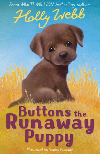 Buttons the Runaway Puppy (Holly Webb Animal Stories) Webb, Holly and Williams, Sophy