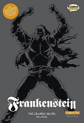 Frankenstein The Graphic Novel