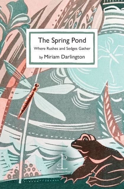 The Spring Pond