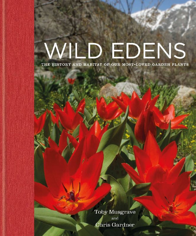 Wild Edens