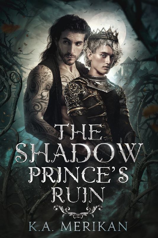 The Shadow Prince's Ruin