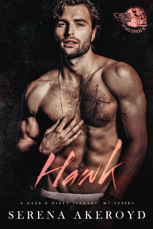 Hawk (A Dark & Dirty Sinners' MC