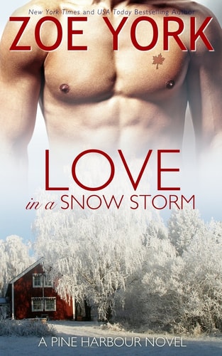 Love in a Snow Storm (Pine Harbour)