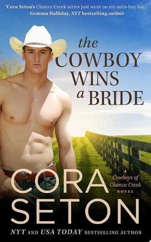 The Cowboy Wins A Bride