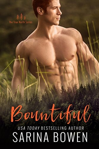 Bountiful (True North: Small Town Romance Book 4)