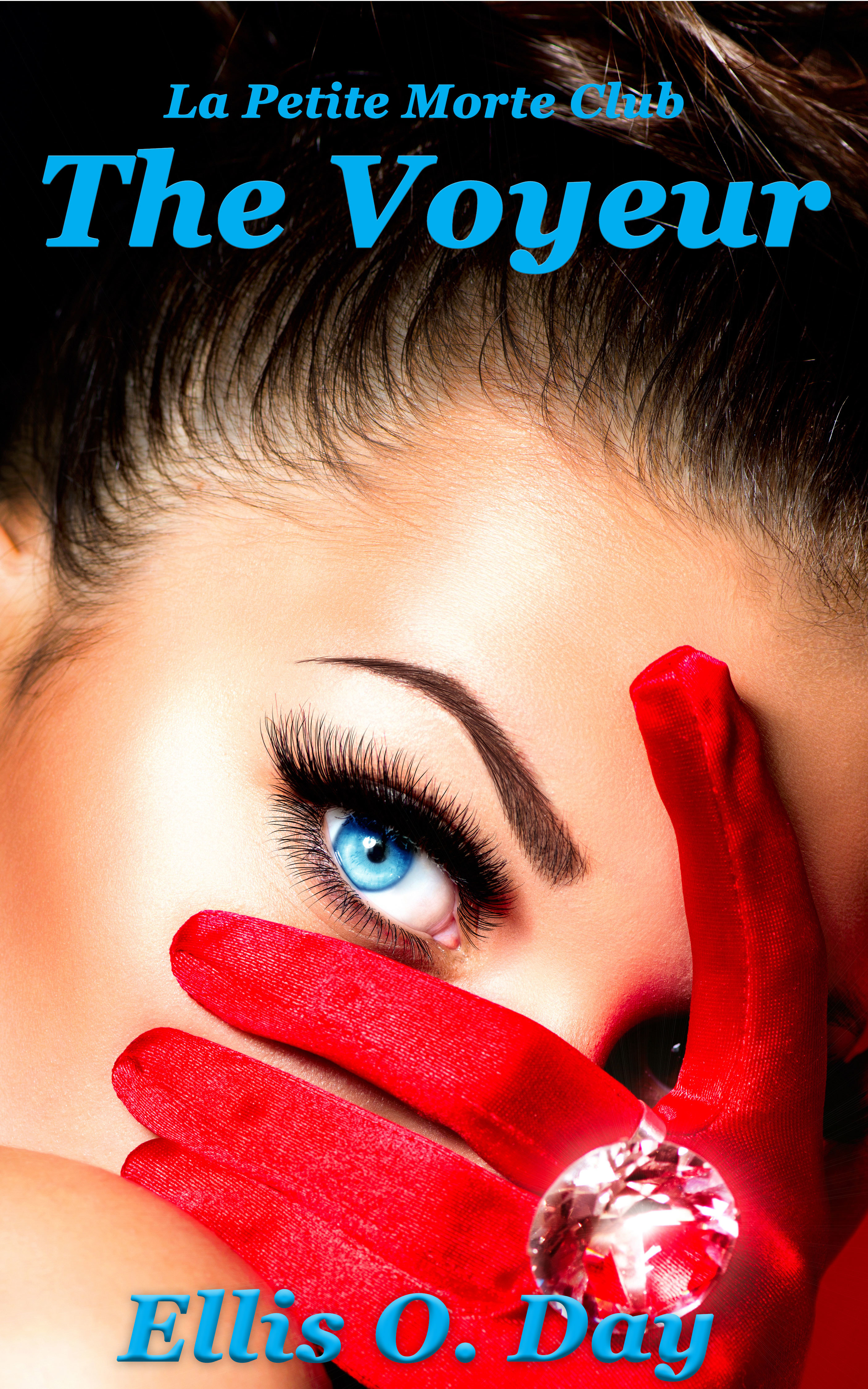 Voyeur: A la Petite Morte Club Story