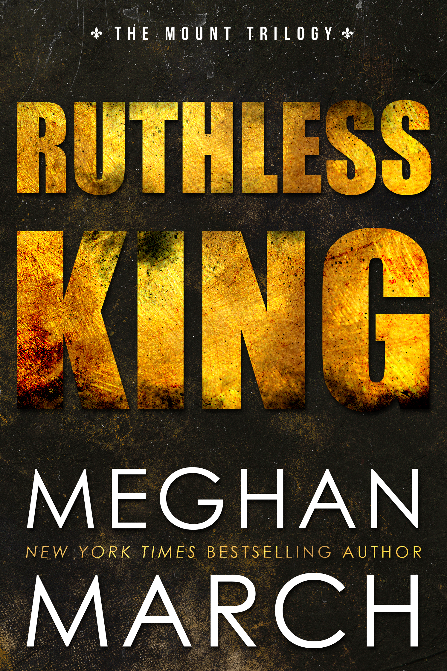 Ruthless King (The Anti-Heroes Collection Book 1)