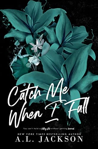 Catch Me When I Fall (Falling Stars)