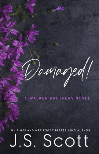 Damaged!: A Walker Brothers Novel (The Walker Brothers)