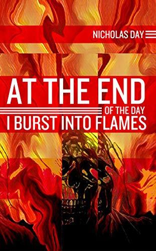 At The End Of The Day I Burst Into Flames