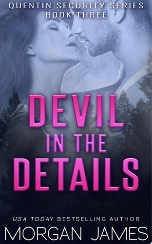 Devil in the Details (Quentin Security Series)