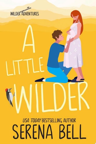 Little Wilder: A Steamy Small Town Romantic Comedy