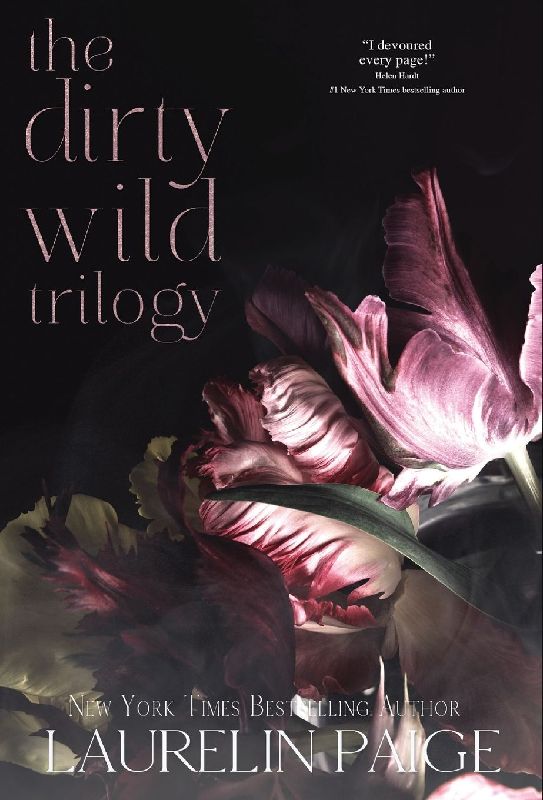 Dirty Wild Trilogy