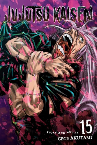 Jujutsu Kaisen, Vol. 15: Volume 15 (JUJUTSU KAISEN GN, Band 15)