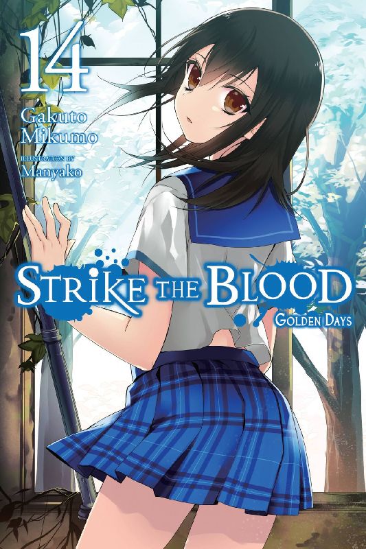 Strike the Blood, Vol. 14 (Light Novel)