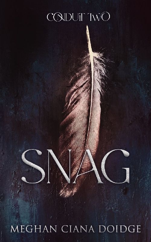 Snag (Conduit 2)