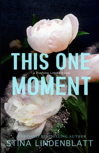 This One Moment (Pushing Limits, Band 1)
