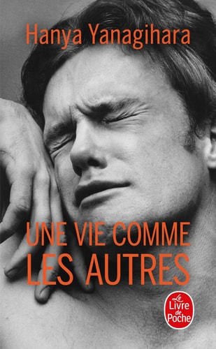 Une vie comme les autres (Littérature)
