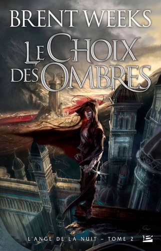L'Ange de la Nuit T02 Le Choix des ombres: L'Ange de la Nuit (Fantasy)