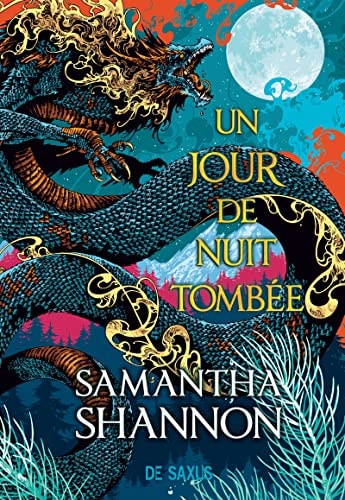 Un jour de nuit tombée (broché)