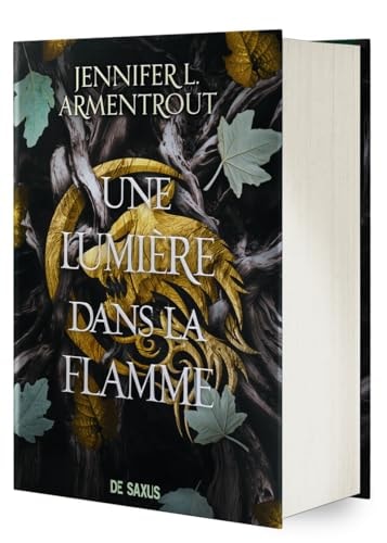 Une Lumière dans la flamme (relié collector) - Tome 02 La Chair et le Feu: Tome 2