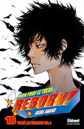 Reborn - Tome 18: Voilà la version V.R. !