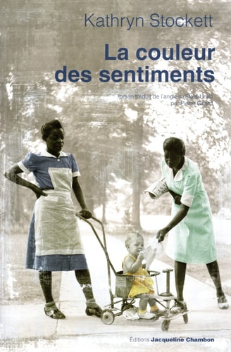 La couleur des sentiments (Chambon Littérature)
