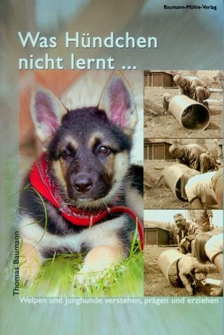 Was Hündchen nicht lernt... Welpen und Junghunde verstehen, prägen und erziehen.