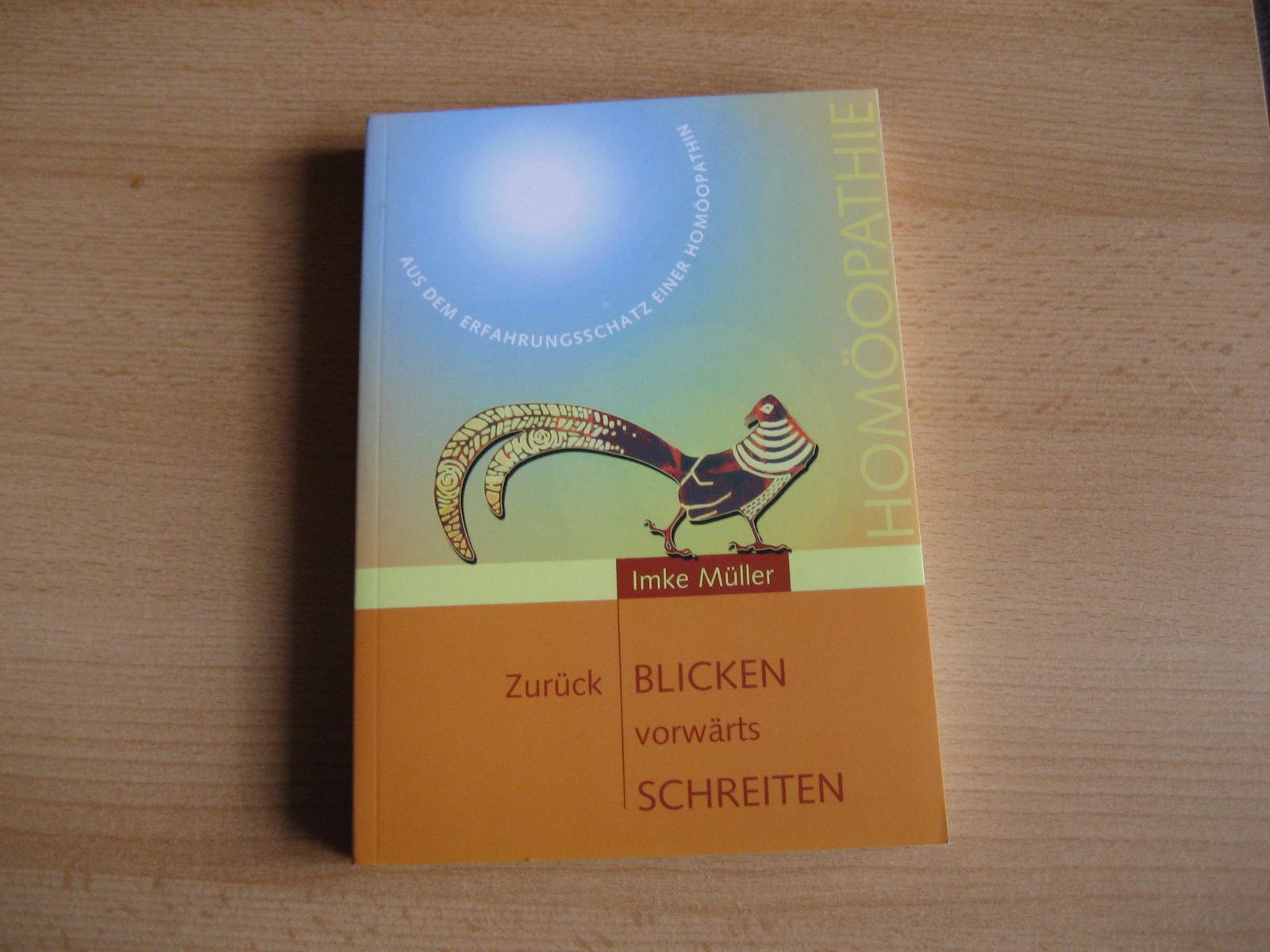 zurück blicken - vorwärts schreiten