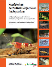 Krankheiten der Süßwassergarnelen im Aquarium