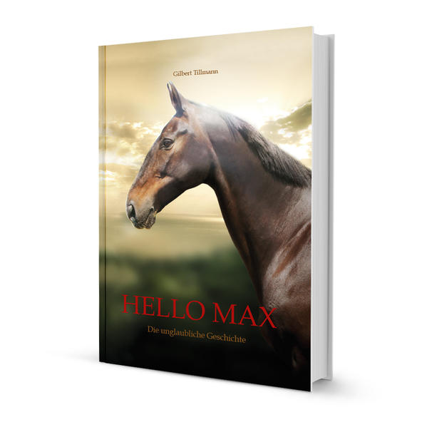Hello Max