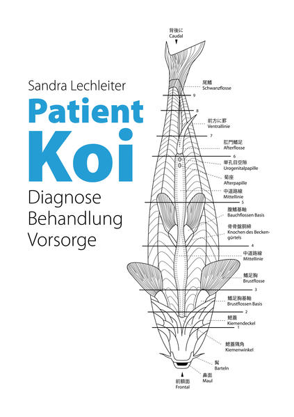 Patient Koi