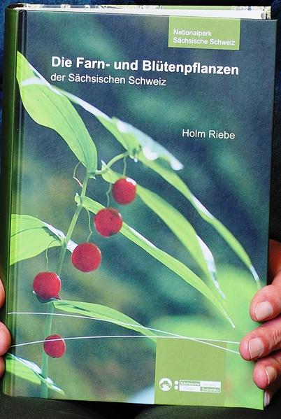 Die Farn- und Blütenpflanzen der Sächsischen Schweiz