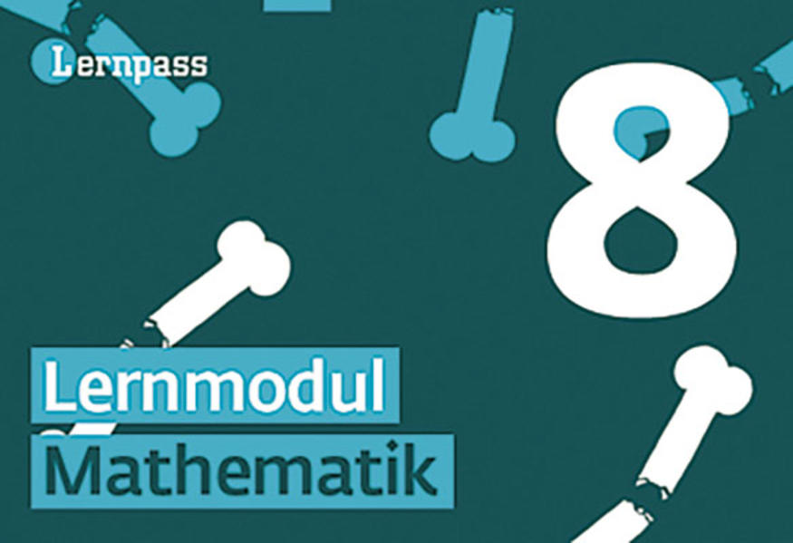 Lernpass, Lernmodule Mathematik, Modul 8