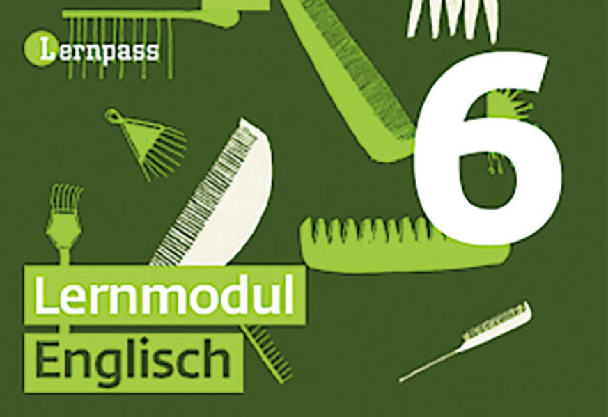 Lernpass Englisch, Modul 6