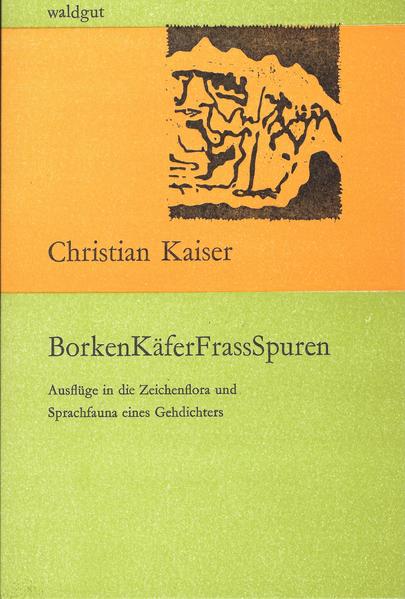BorkenKäferFrassSpuren