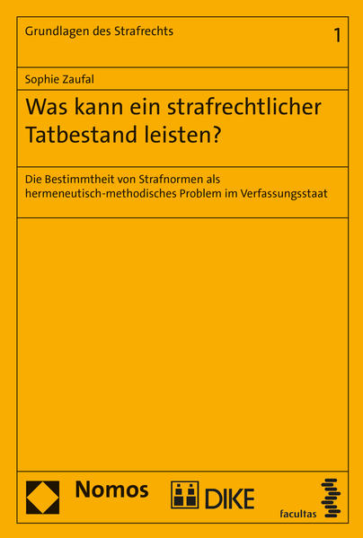 Was kann ein strafrechtlicher Tatbestand leisten?