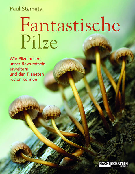 Fantastische Pilze