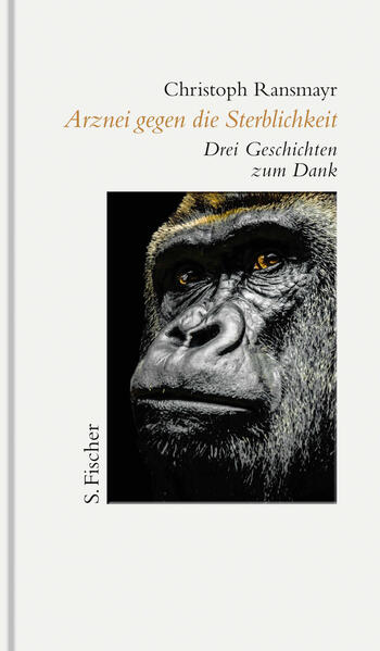Unbekannter Titel