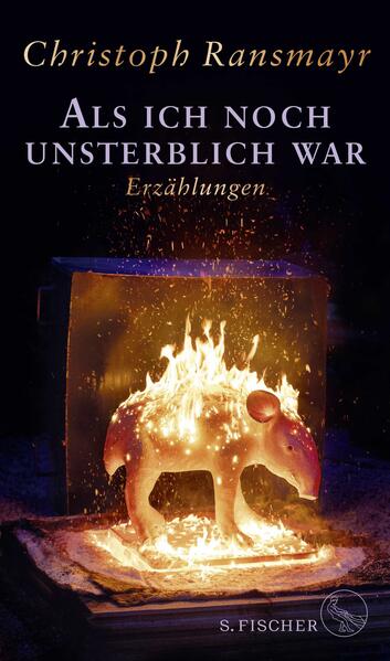 Unbekannter Titel