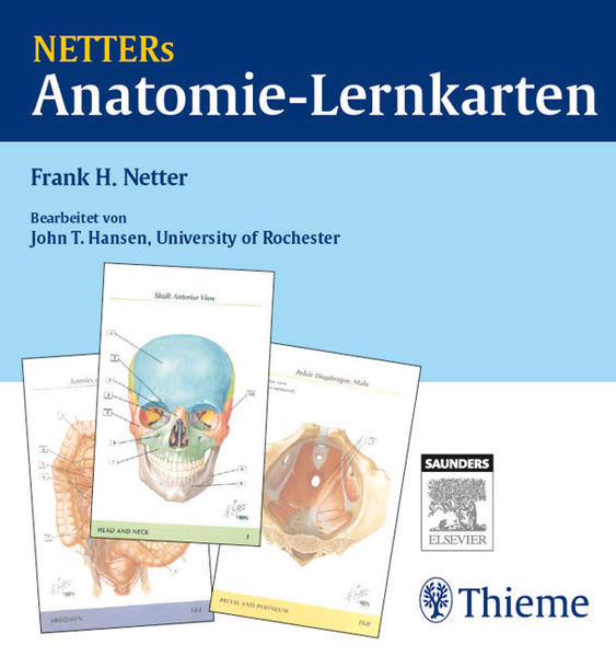 Netters Anatomie-Lernkarten (Korr. Ausgabe)