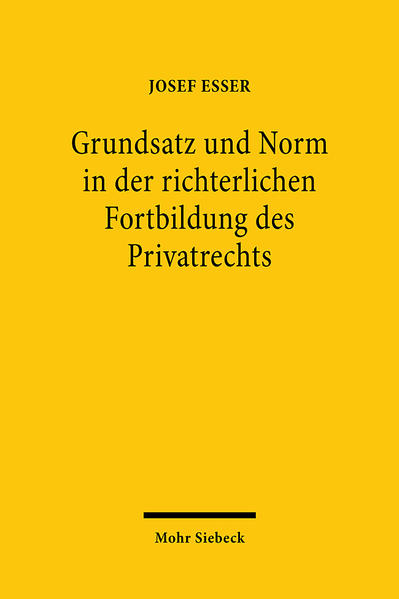 Grundsatz und Norm in der richterlichen Fortbildung des Privatrechts