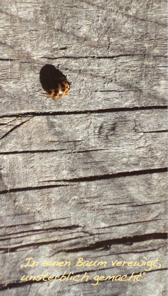 In einen Baum verewigt, unsterblich gemacht