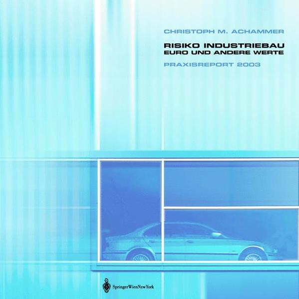 Risiko Industriebau - Euro und andere Werte