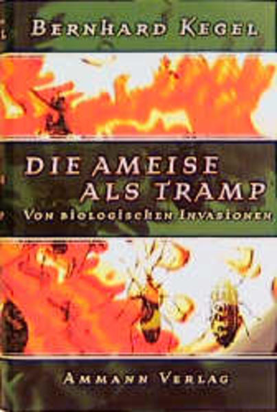 Die Ameise als Tramp