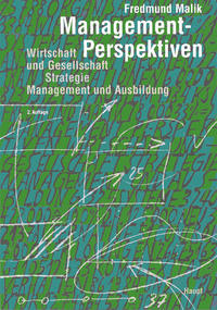 Management-Perspektiven