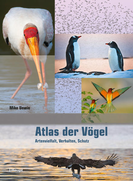 Atlas der Vögel