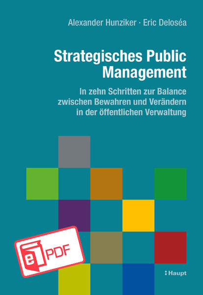 Strategisches Public Management