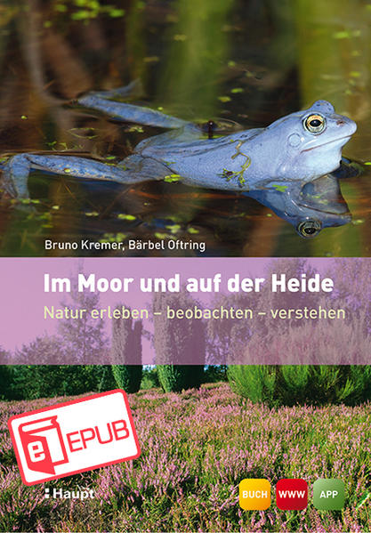 Im Moor und auf der Heide